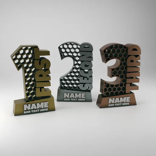 Custom 3D Printed Placement Trophy