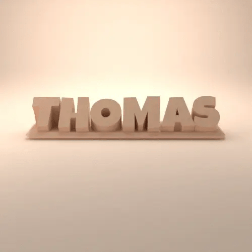 Custom Name Sign / Desk Nameplate