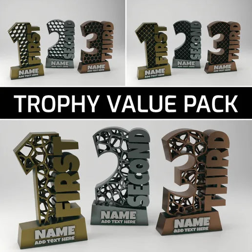 Custom 3D Printed Placement Trophy